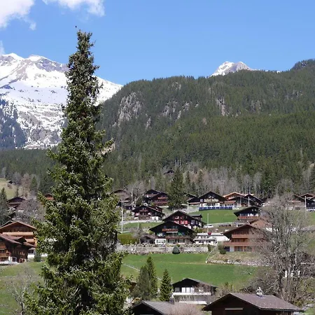 Chalet Chalet Authentique Avec Magnifique Vue Sur L'eiger