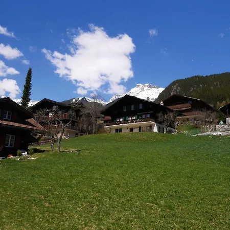 Chalet Authentique Avec Magnifique Vue Sur L'eiger シャレー