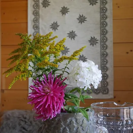 Chalet Chalet Authentique Avec Magnifique Vue Sur L'eiger